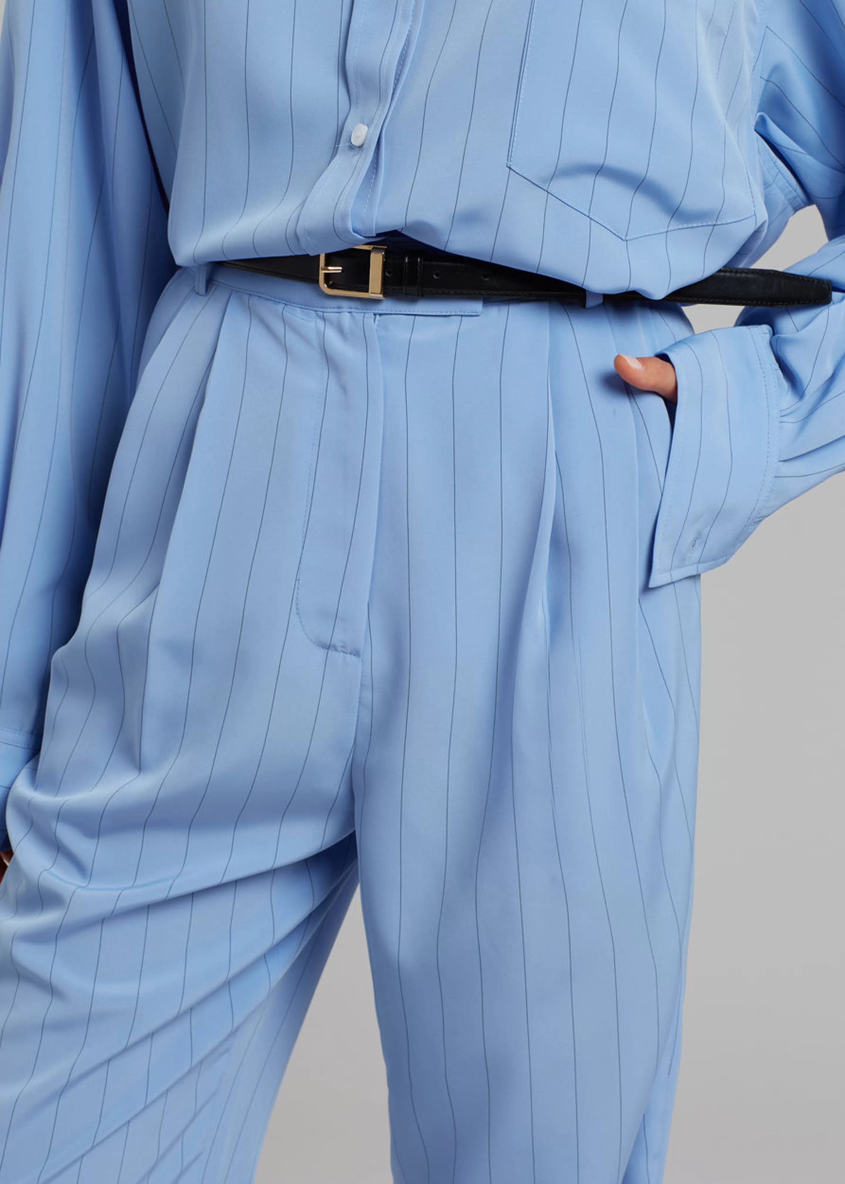 Bottoms | The Frankie Shop Bea Fluid Stripe Suit Pants Powder Blue