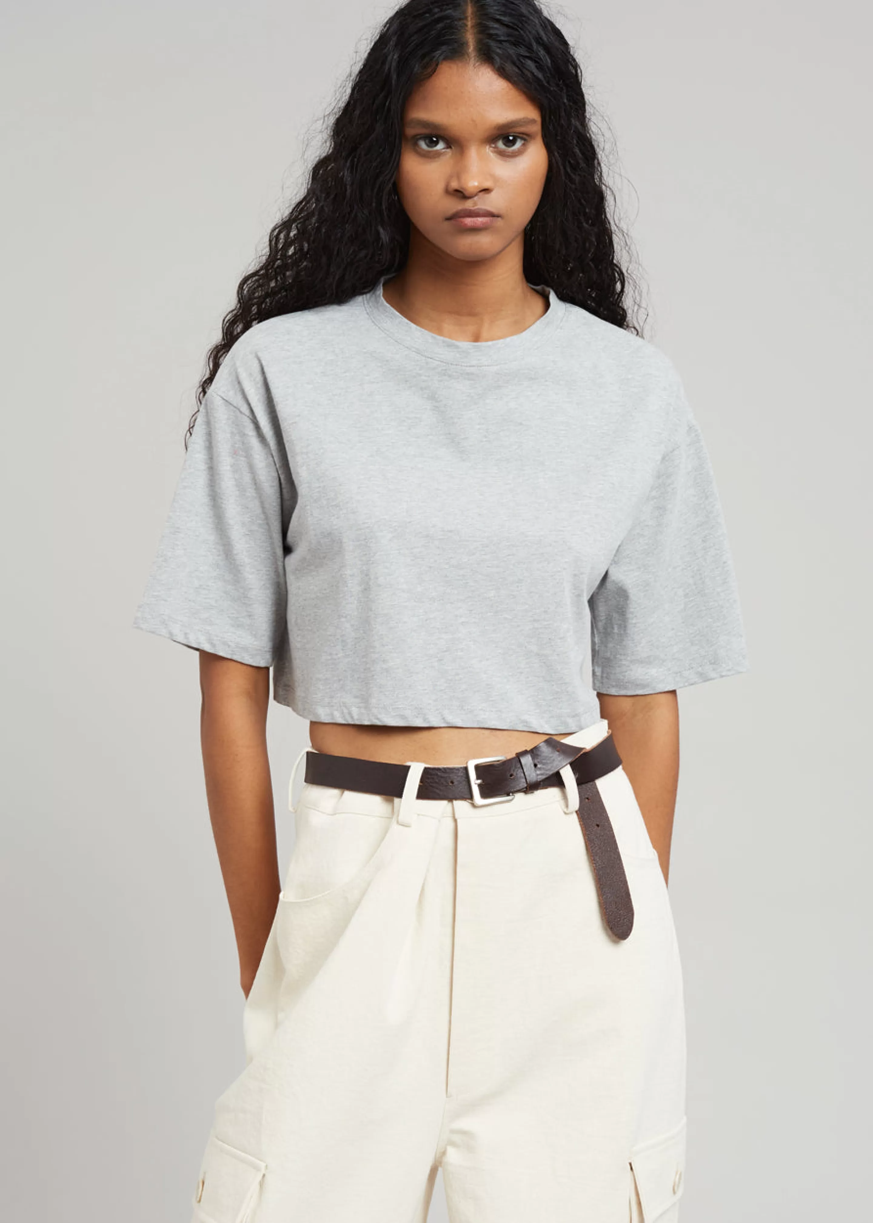 Tops | The Frankie Shop Karina Cropped T-Shirt Heather Grey