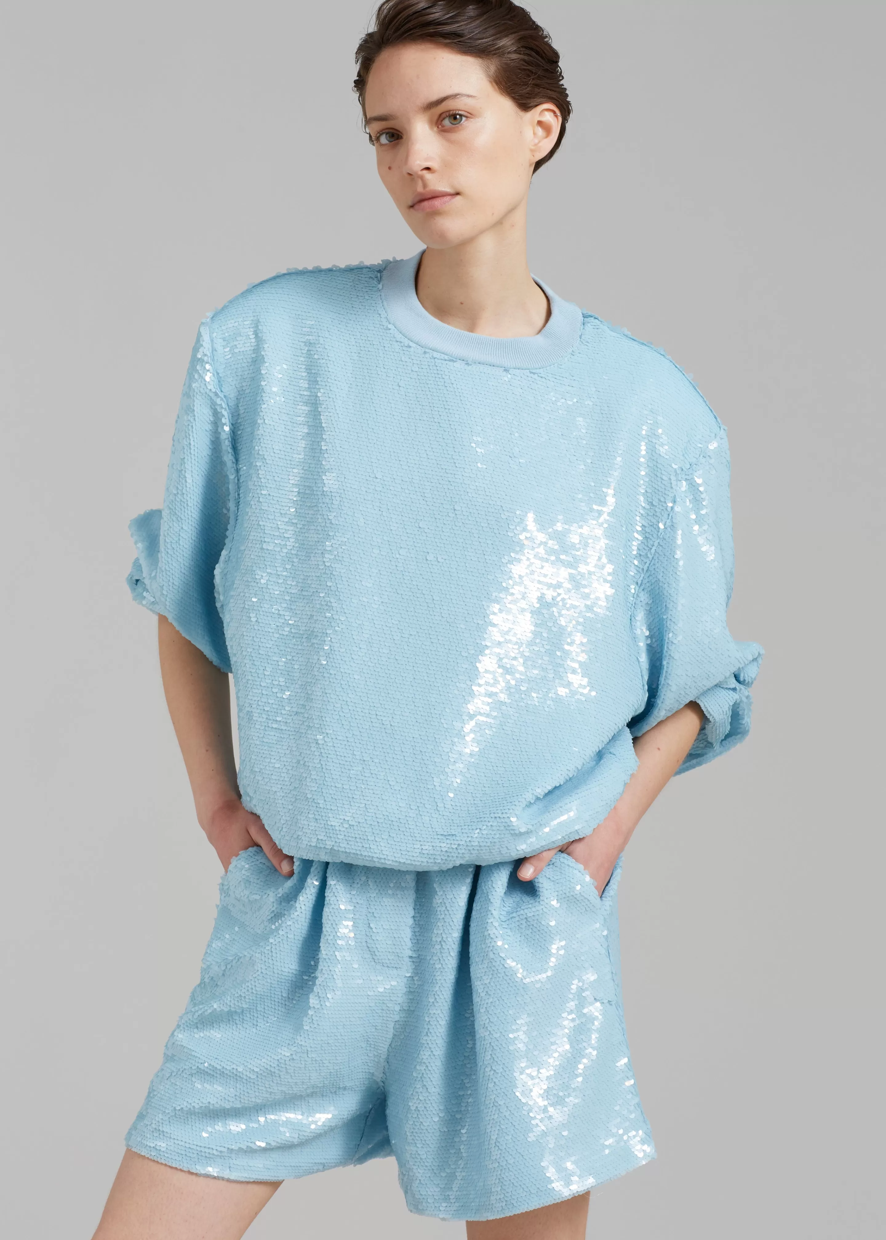 Tops | The Frankie Shop Metz Sequins Sweatshirt Sky