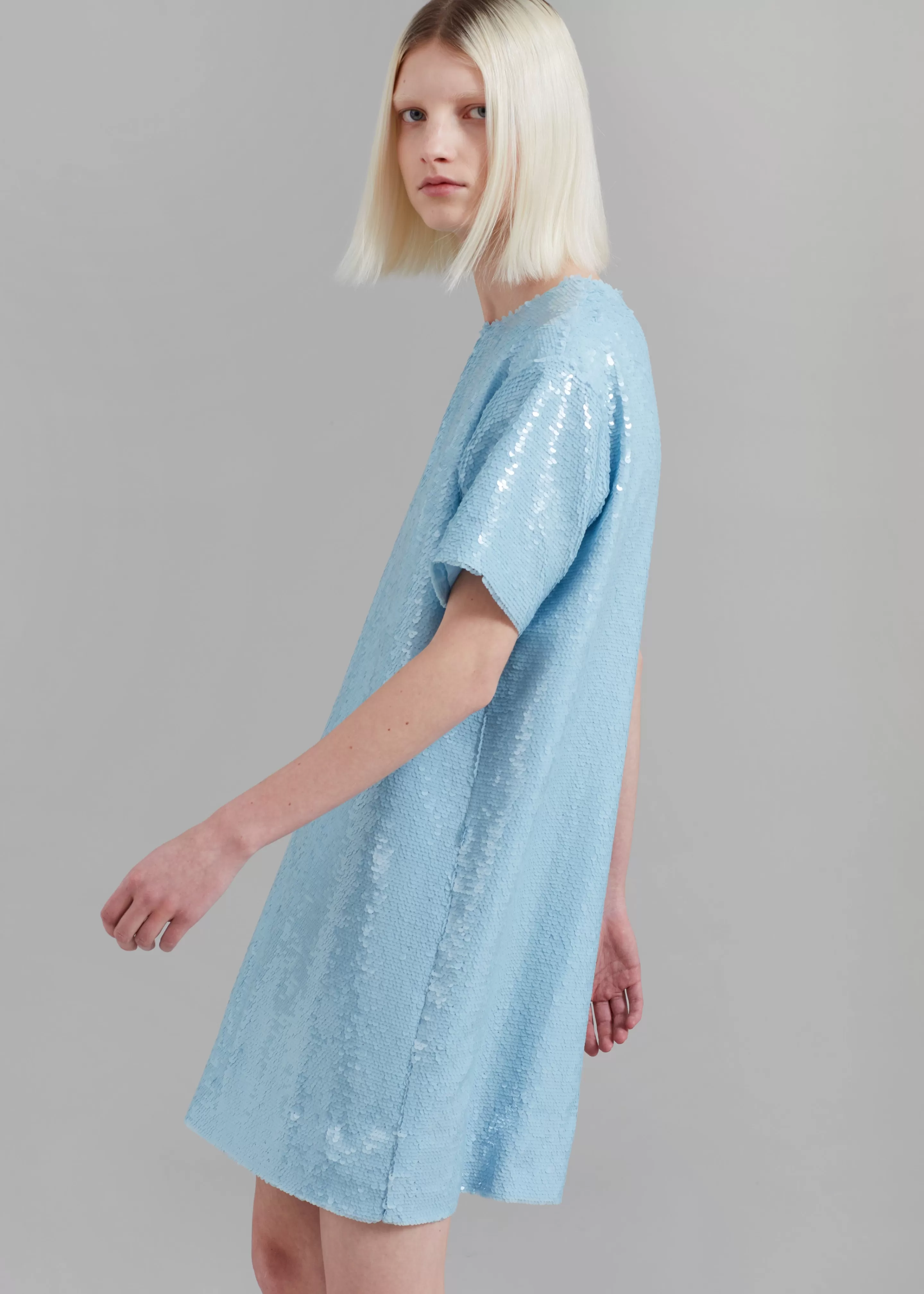 Dresses | The Frankie Shop Riley Sequins Tee Mini Dress Sky