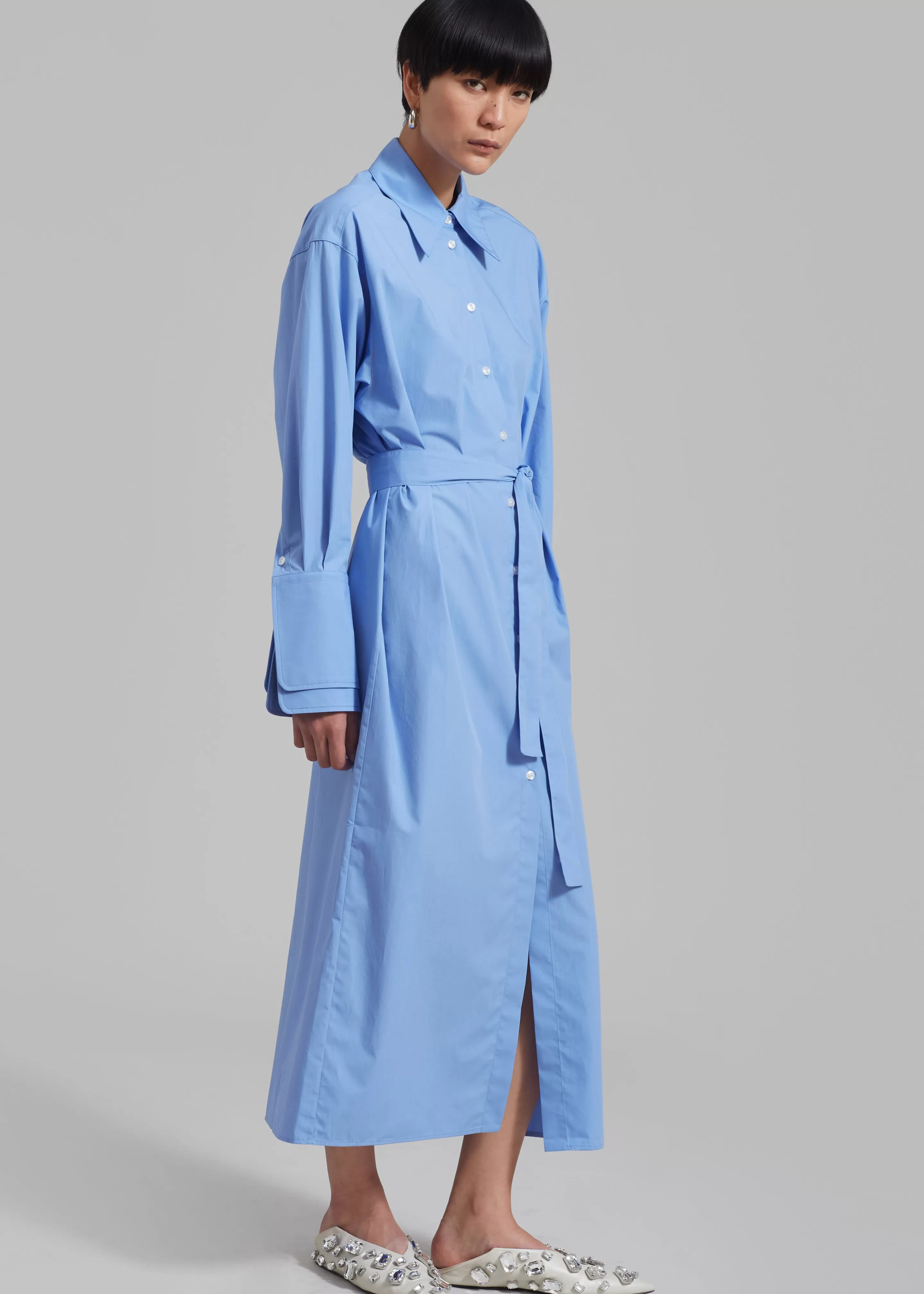 Dresses | The Frankie Shop Rohe Poplin Shirt Dress Serenity