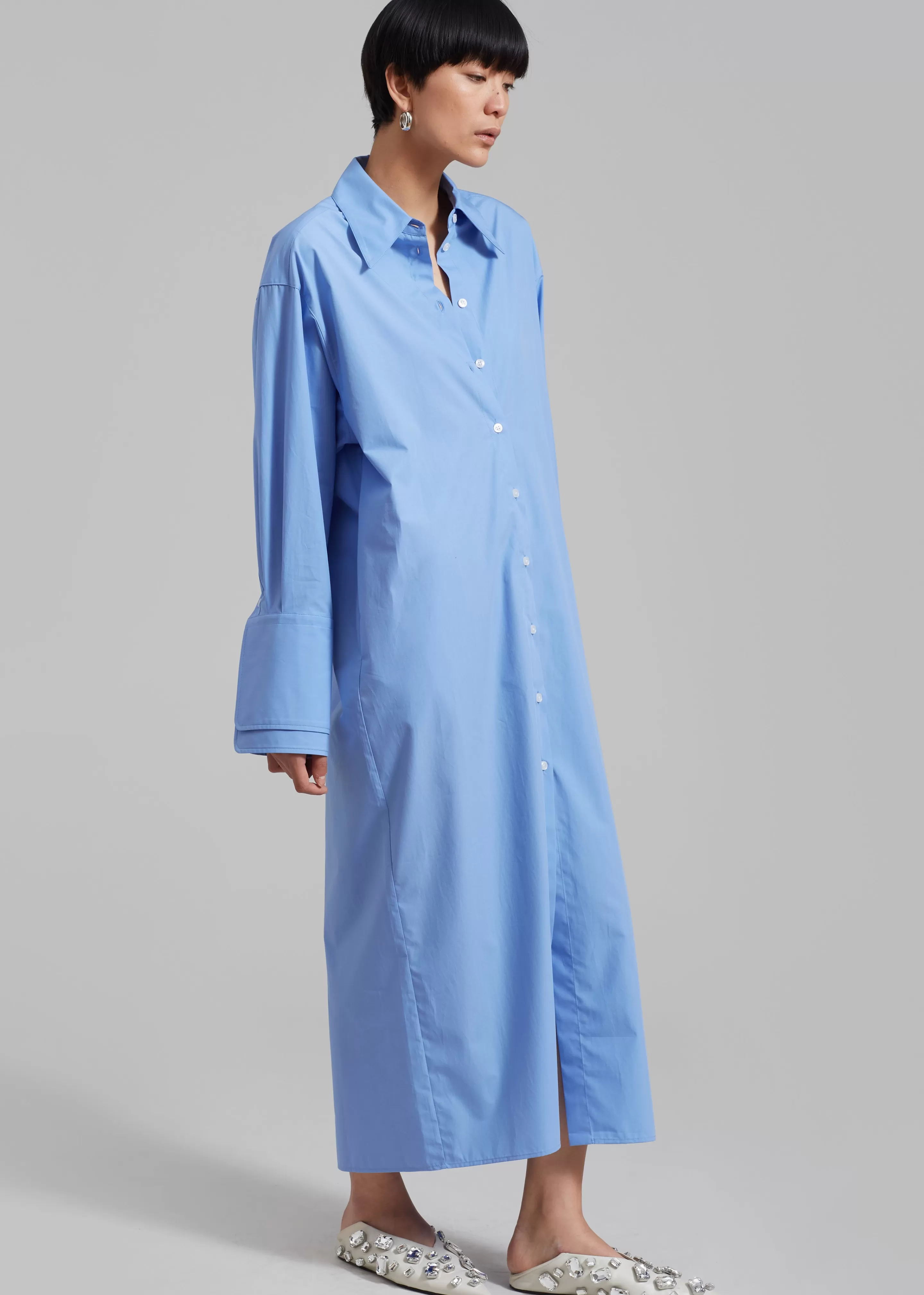 Dresses | The Frankie Shop Rohe Poplin Shirt Dress Serenity